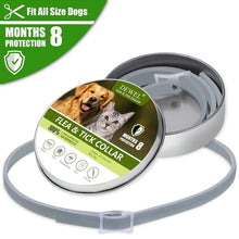 Load image into Gallery viewer, Dewel Anti Flea Ticks Insect Mosquitoes 8 Months Protection Waterproof Long Lasting Dog Collar Custom Puppy Cat Pet Collars
