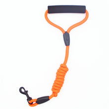 Load image into Gallery viewer, dog leash running walk train for large small cat pets Leashes dogs leash rope nylon   Tenacity 7 colors 3 sizes
